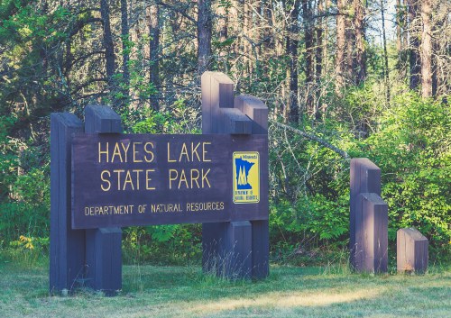Sign for Hayes Lake State Park surrounded by trees, featuring the Minnesota Department of Natural Resources logo.