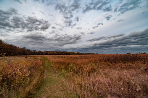 A grassy path leads through a vast, open field under a cloudy sky, showcasing autumn colors and a serene landscape.