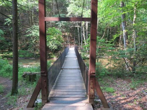 A wooden suspension bridge spans a serene forested area with a creek below, surrounded by lush green trees.