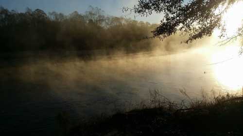 A misty river at sunrise, with soft light reflecting on the water and trees in the background.