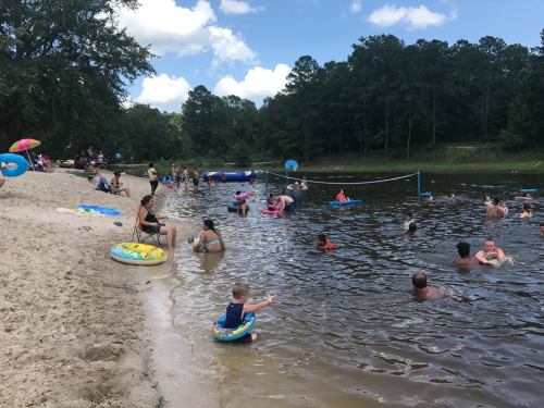 A sandy beach area with people swimming and relaxing in a river, surrounded by trees and blue skies.