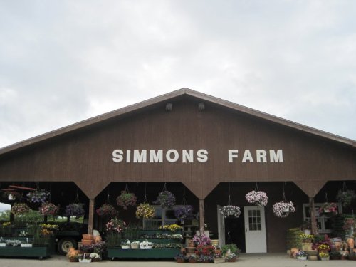 A rustic farm building with the sign "SIMMONS FARM," adorned with hanging flower baskets and potted plants outside.