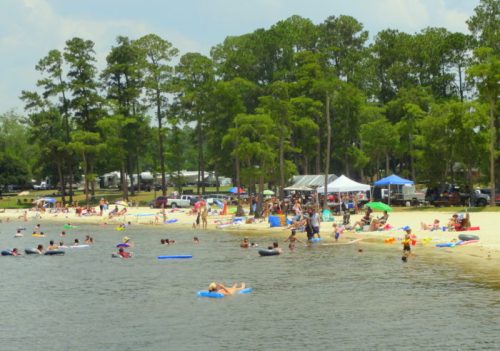 A busy beach scene with people swimming, sunbathing, and relaxing under trees and tents by the water.