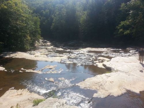 A serene rocky riverbed surrounded by lush green trees under bright sunlight.