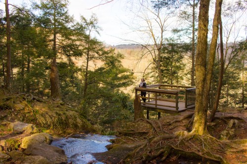 A wooden observation deck in a forest, overlooking a valley with trees and a small stream nearby.
