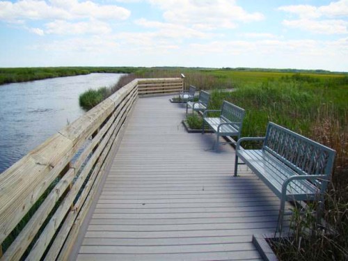 A wooden boardwalk with benches alongside a calm river, surrounded by lush green marshland under a blue sky.