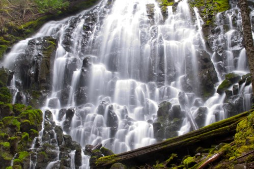A cascading waterfall flows over moss-covered rocks, surrounded by lush greenery and fallen logs.