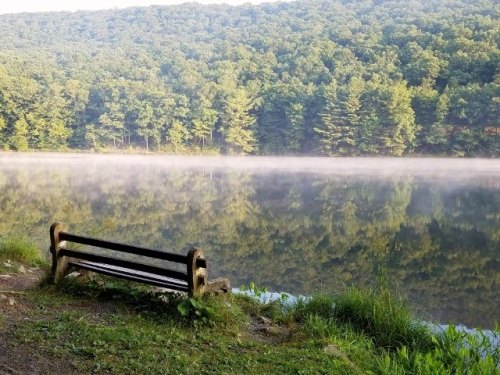 A serene lakeside scene with a wooden bench, surrounded by mist and lush green trees reflecting in the calm water.