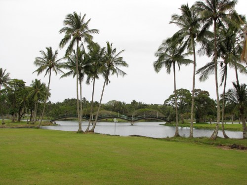 A serene landscape featuring a pond, a bridge, and tall palm trees under a cloudy sky.