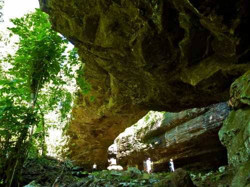 Two people stand beneath a large rock overhang in a lush, green forest. Sunlight filters through the trees.