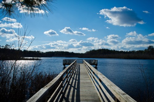 A wooden pier extends over a calm lake, surrounded by trees and under a blue sky with fluffy clouds.