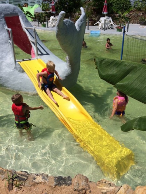 Children playing at a water park, sliding down a yellow slide into a shallow pool surrounded by greenery.