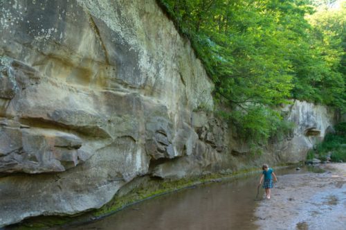 A person wades through shallow water beside a rocky cliff, surrounded by lush greenery.