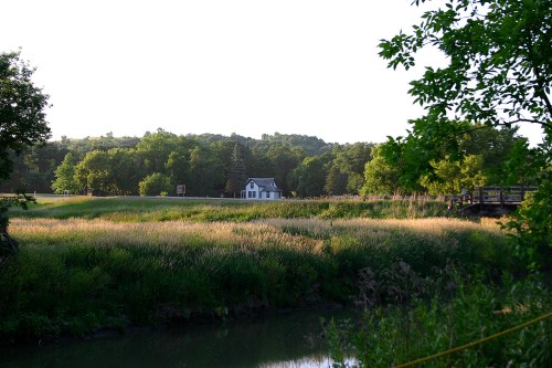 A serene landscape featuring a small white house surrounded by tall grass and trees, with a calm waterway in the foreground.