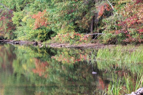 A serene lake surrounded by trees with autumn foliage, reflecting vibrant colors on the water's surface.