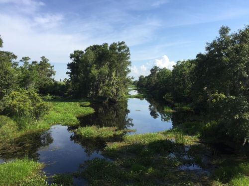 A serene river flows through lush greenery under a clear blue sky, reflecting the surrounding trees and plants.