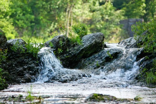 A serene stream flows over rocky terrain, surrounded by lush greenery and trees in a peaceful natural setting.