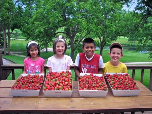 Four children smile at a table filled with baskets of strawberries, surrounded by greenery and a serene landscape.