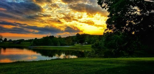 A serene sunset over a calm lake, with vibrant colors reflecting on the water and lush greenery surrounding the scene.