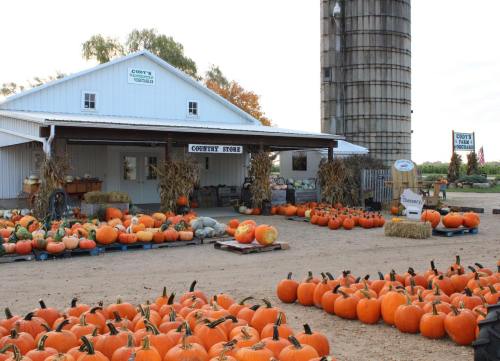 A country store with pumpkins and gourds displayed outside, next to a tall silo and autumn foliage in the background.