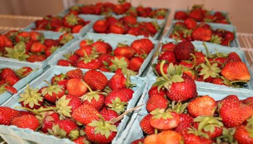 Fresh strawberries in blue containers, arranged neatly on a shelf.