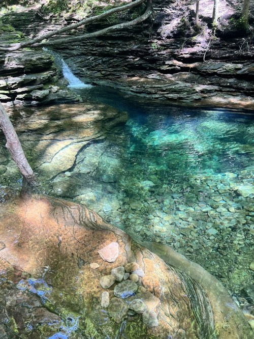 A serene, clear pool of water surrounded by rocks and trees, with a small waterfall in the background.