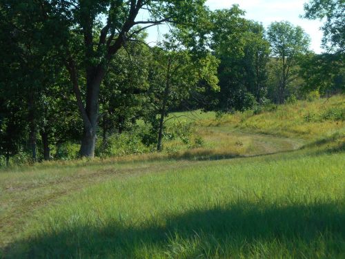 A winding path through a lush green field, surrounded by trees under a clear blue sky.