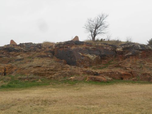 A rocky hillside with patches of grass and a solitary tree on top, under a cloudy sky.