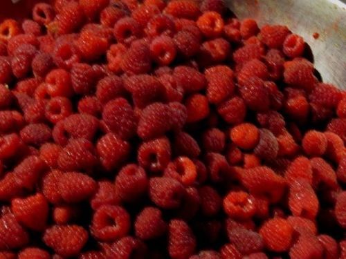A close-up of a large pile of fresh, vibrant red raspberries.