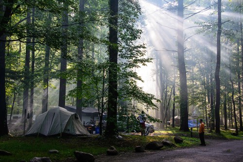 A serene forest campsite with tents, sunlight streaming through trees, and a person standing nearby.