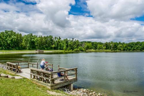 A person fishing from a wooden dock by a calm lake, surrounded by lush greenery and a cloudy sky.