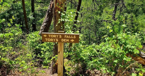 Wooden signpost in a forest pointing to Tory's Falls and Tory's Den, surrounded by lush greenery.