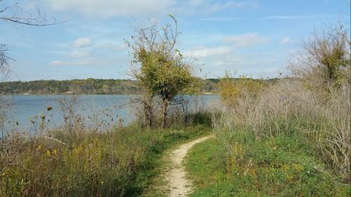 A winding dirt path leads through tall grass and shrubs by a calm lake under a blue sky with scattered clouds.