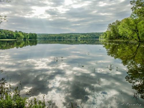 A serene lake reflecting cloudy skies and lush greenery along the shore, creating a tranquil natural scene.