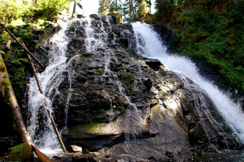 A cascading waterfall flows over rocky terrain, surrounded by lush green trees and sunlight filtering through the foliage.
