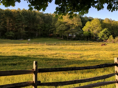 A serene landscape featuring a grassy field, wooden fence, and horses grazing under a tree-lined backdrop.