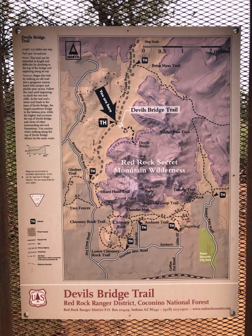 Map of Devils Bridge Trail in Red Rock Secret Mountain Wilderness, showing trails and terrain features.