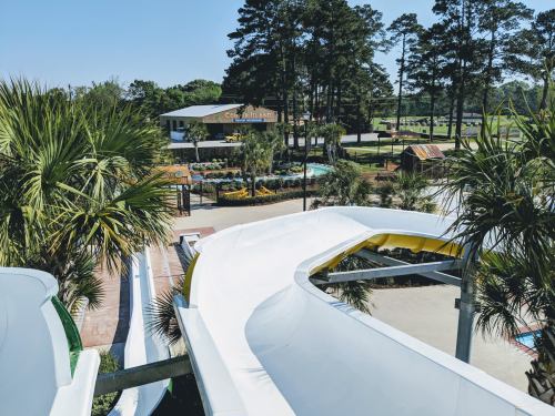 A view from the top of a water slide, overlooking a park with palm trees and colorful landscaping on a sunny day.