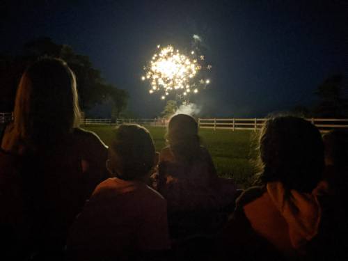 A group of children and adults watch fireworks illuminate the night sky, with a grassy field and fence in the background.