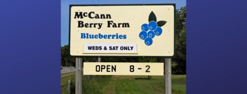 Sign for McCann Berry Farm, featuring blueberries, open Wednesdays and Saturdays from 8 AM to 2 PM.