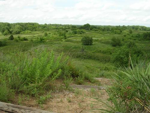 Lush green landscape with rolling hills, scattered trees, and a cloudy sky in the background.