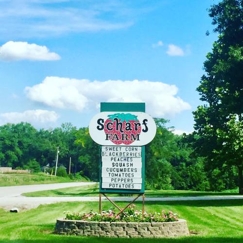Sign for Scharf's Farm listing fresh produce: sweet corn, blackberries, peaches, cucumbers, squash, tomatoes, peppers, potatoes.