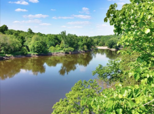 A serene river scene surrounded by lush green trees and a clear blue sky, reflecting the landscape in the water.