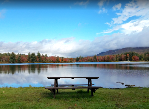 A serene lake scene with a picnic table in the foreground, surrounded by trees and a clear blue sky.