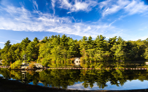 A serene lake surrounded by lush green trees, reflecting a clear blue sky with wispy clouds.