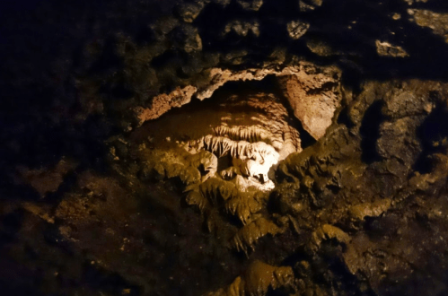 A dimly lit cave interior showcasing textured rock formations and stalactites.