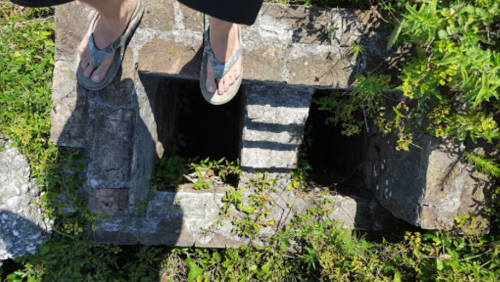 A person stands on a stone structure covered in greenery, with two dark openings visible below.