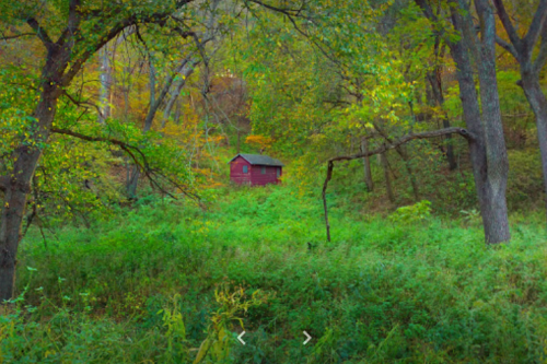 A small red cabin nestled among vibrant green foliage and trees in a serene, wooded landscape.