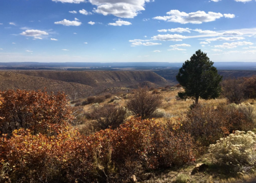 A scenic landscape featuring rolling hills, autumn foliage, and a clear blue sky with scattered clouds.