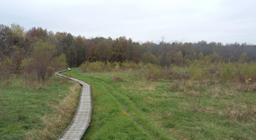 A winding wooden boardwalk through a grassy field, surrounded by trees under a cloudy sky.